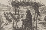 Image 6-6